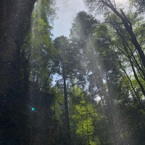 Meet your Posher, Maddy